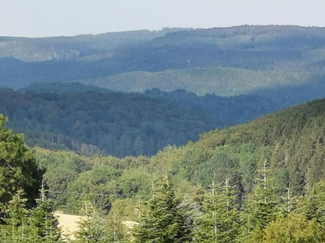 Eifelferienkurth Lejlighed Buir (Nettersheim)