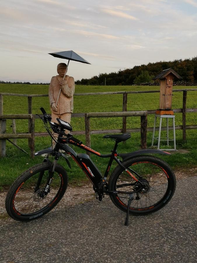 Lejlighed Eifelferienkurth Buir (Nettersheim)