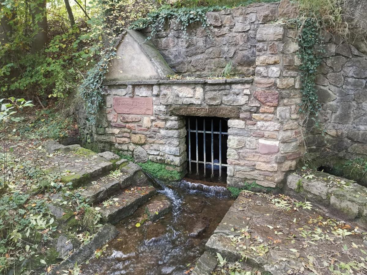 Appartement Eifelferienkurth