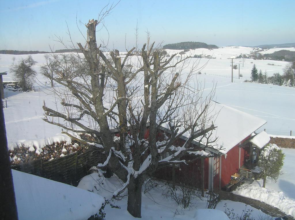 Appartement Eifelferienkurth Buir (Nettersheim)