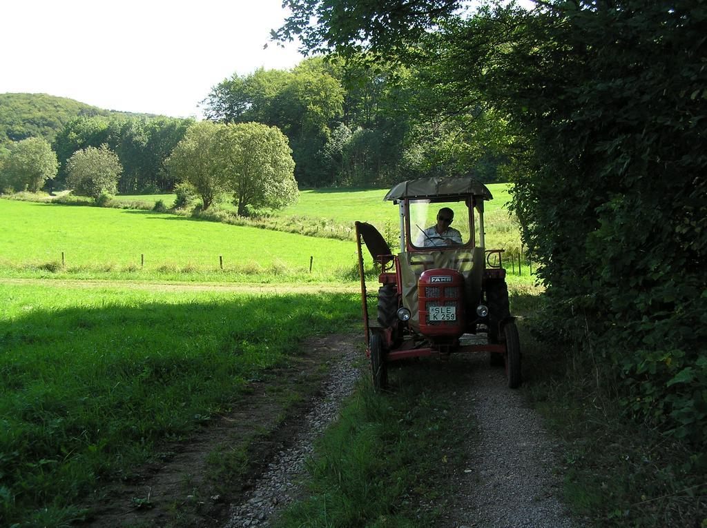 Eifelferienkurth Buir (Nettersheim)