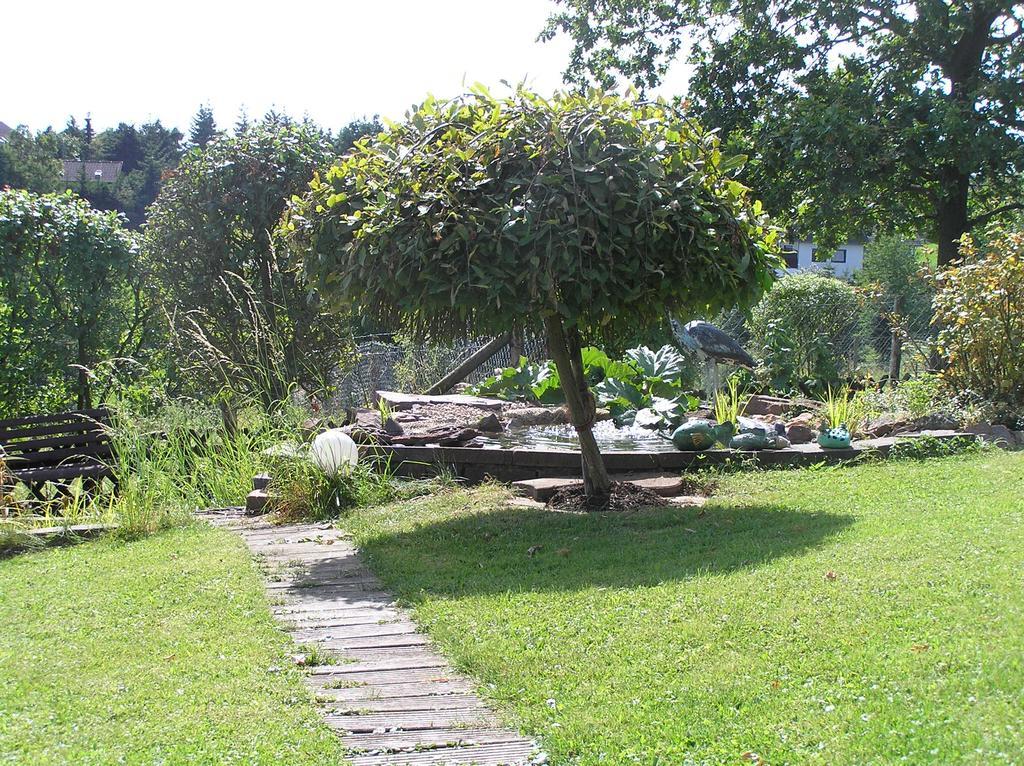 Eifelferienkurth Buir (Nettersheim)
