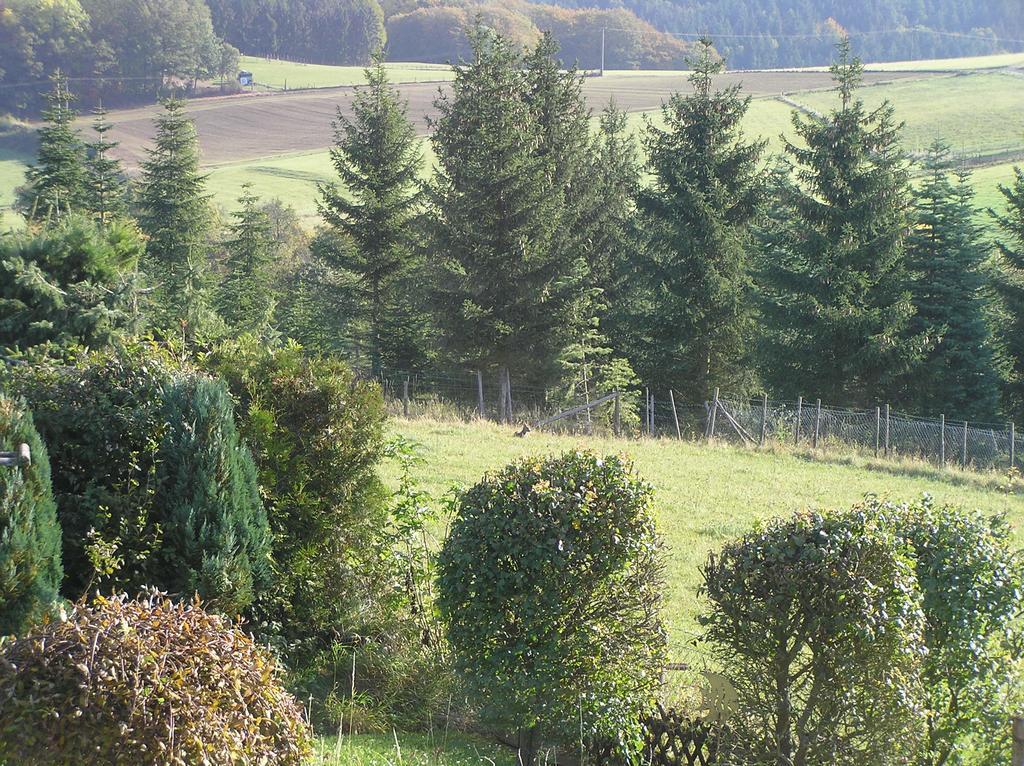 Appartement Eifelferienkurth Buir (Nettersheim)